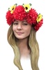 Венок майский